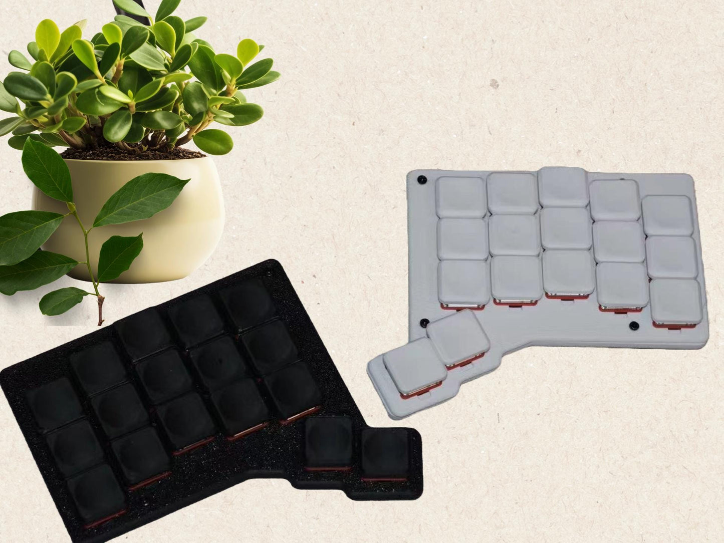 Forager Split Keyboard