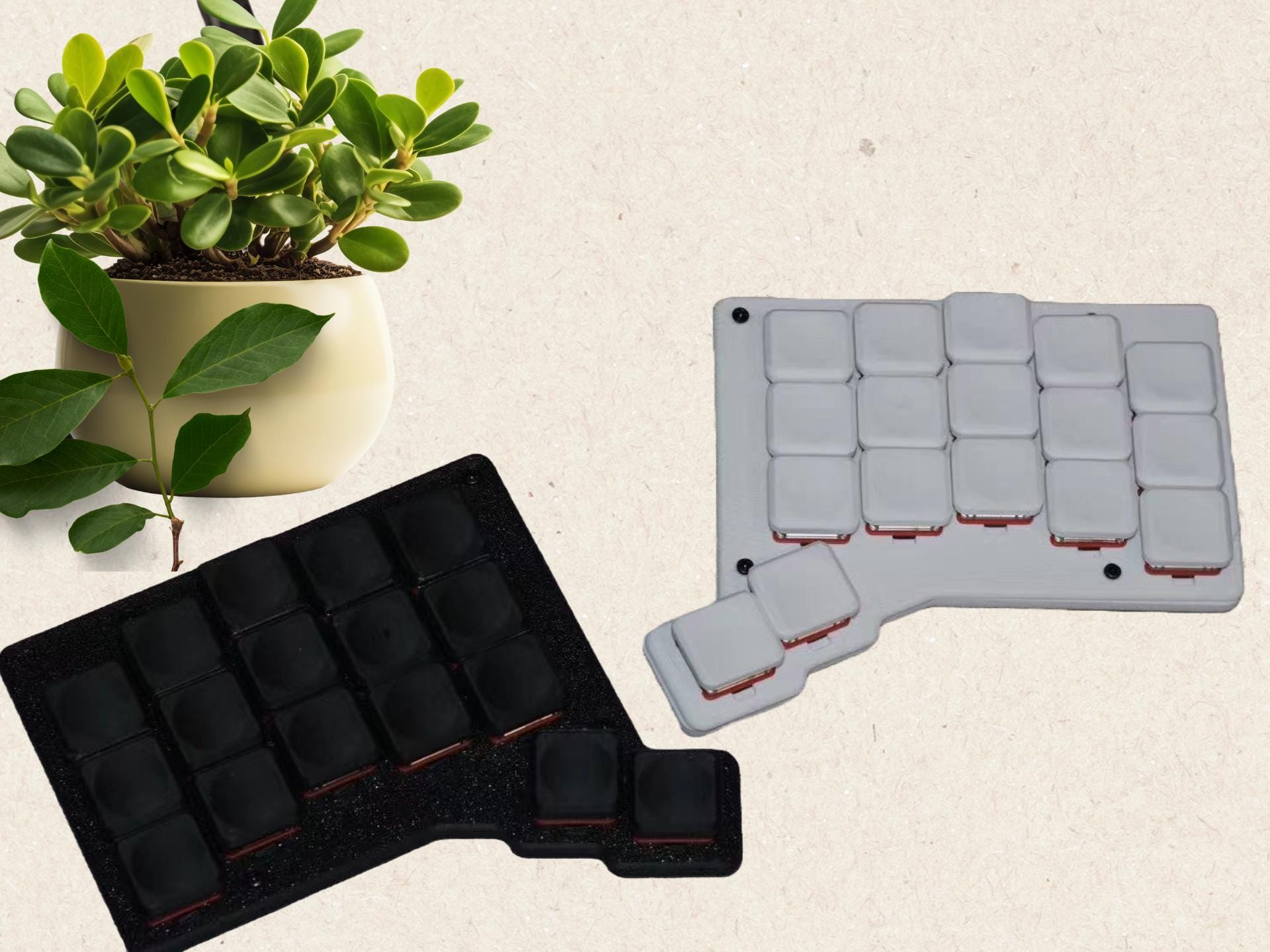 Forager Split Keyboard